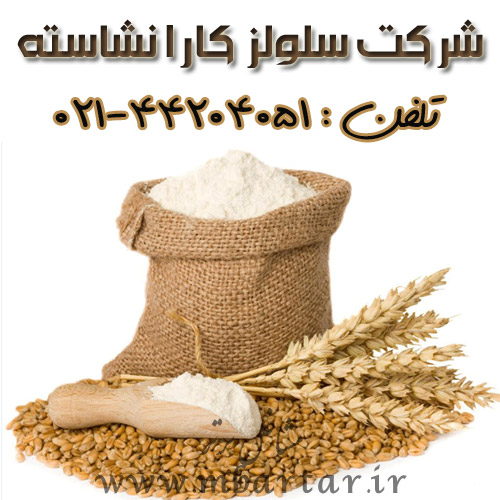 شرکت سلولز کارا نشاسته