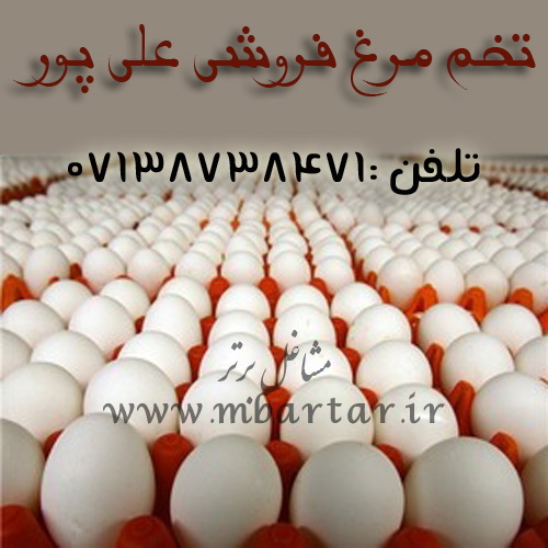تخم مرغ فروشی علی پور