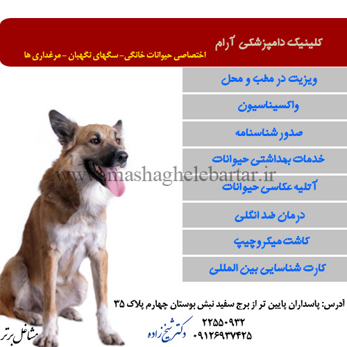 کلینیک دامپزشکی آرام