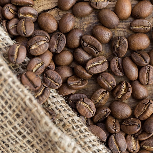 شرکت مهر آرین