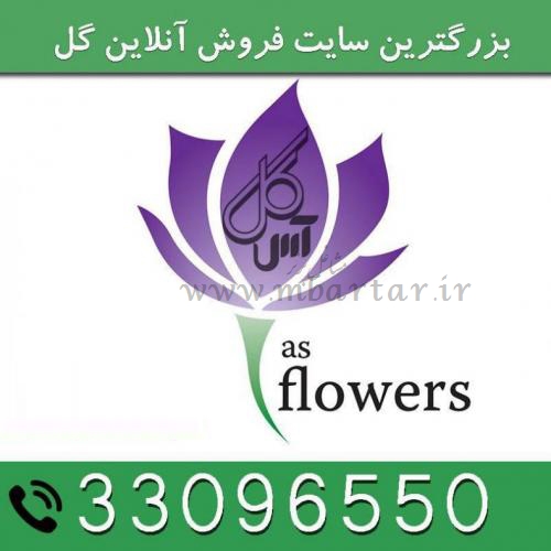 موسسه گل ارایی آس