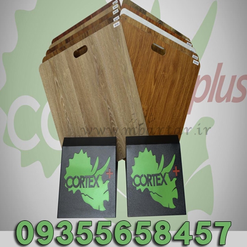 شرکت کورتکس