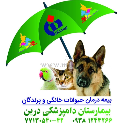 بیمه درمان حیوانات خانگی