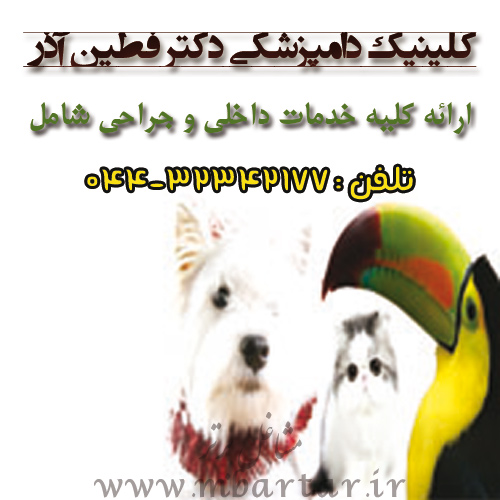 کلینیک دامپزشکی دکتر فطین آذر