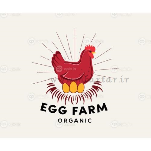 پخش تخم مرغ