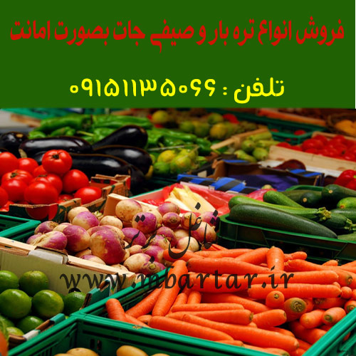 فروش انواع تره بار و صیفی جات بصورت امانت