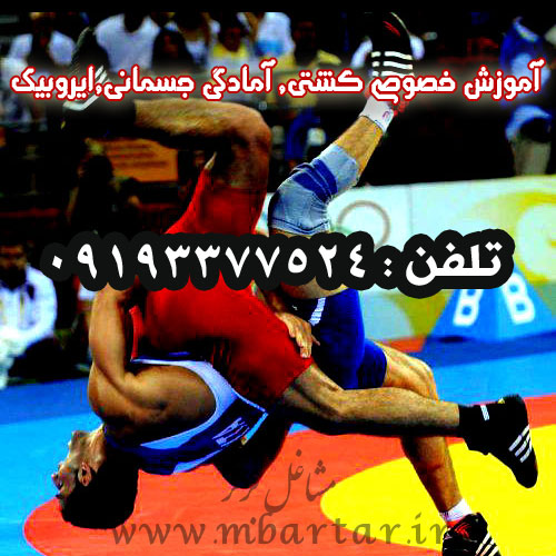 آموزش خصوصی کشتی, آمادگی جسمانی,ایروبیک