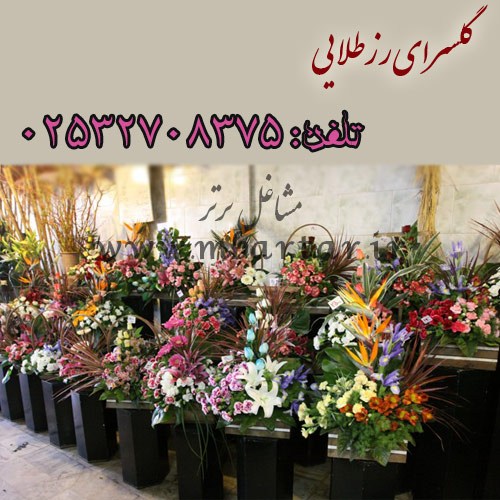 گلسرای رزطلایی