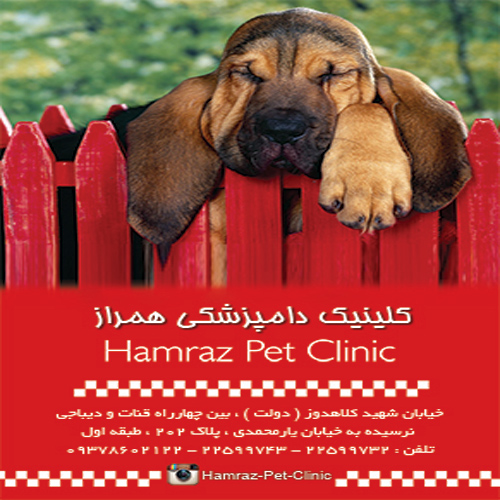 کلینیک دامپزشکی همراز