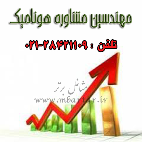 مهندسین مشاوره هونامیک