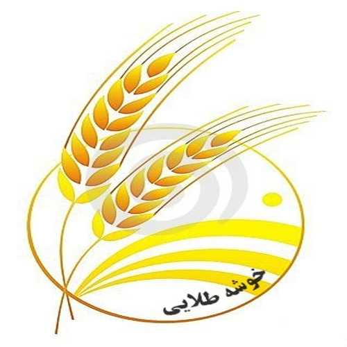 شرکت تولیدی و صنعتی نخ خوشه طلایی