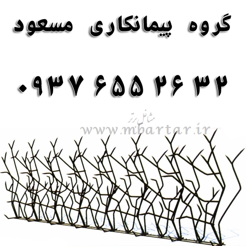 گروه پیمانکاری مسعود