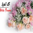 گل آسیا