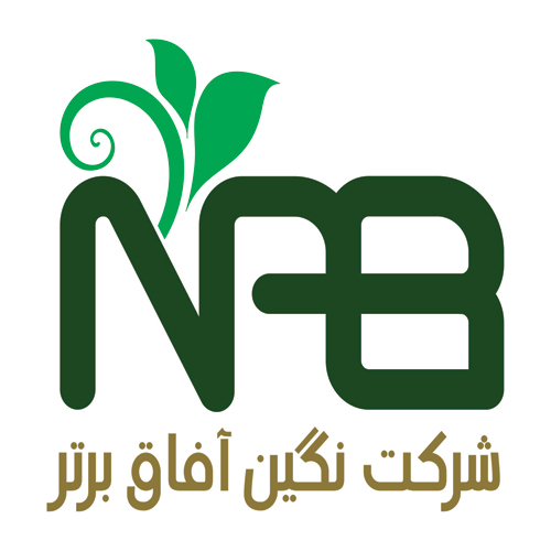 شرکت نگین آفاق باستان