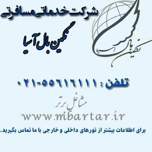 شرکت خدماتی مسافرتی نگین بال آسیا
