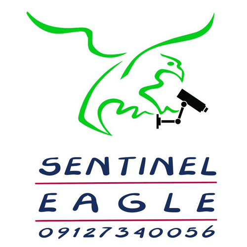 عقاب دیدبان