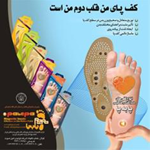 شرکت پابه پا