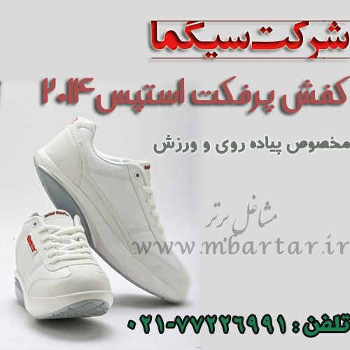 کفش پرفکت استپس2014