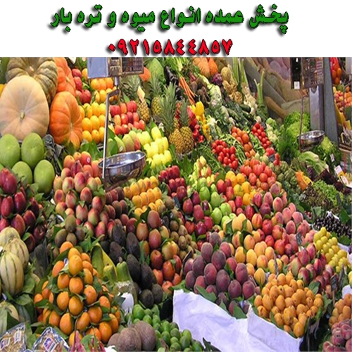 پخش عمده انواع میوه و تره بار تازه