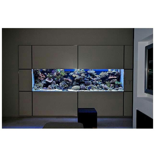 تولید و فروش آکواریم های آب شور خانگی و صنعتی