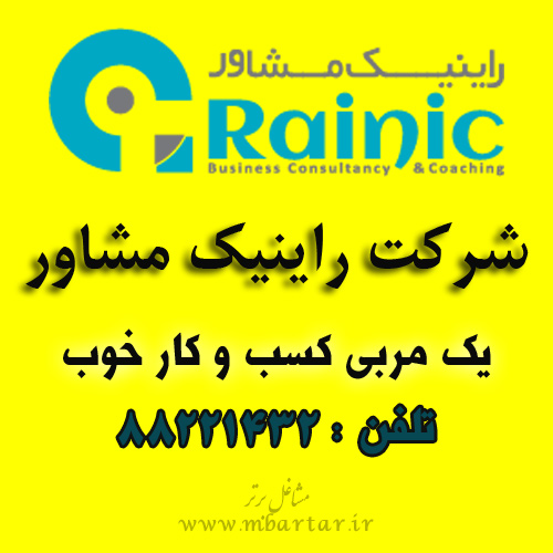 شرکت راینیک مشاور
