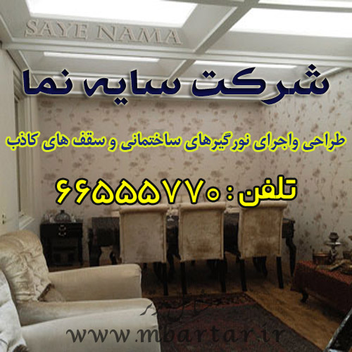 شرکت سایه نما