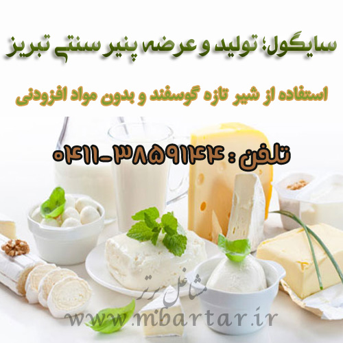 سایگول؛ تولید و عرضه پنیر سنتی تبریز