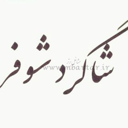 خدمات خودروی شاگرد شوفر