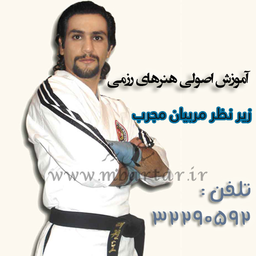 آموزش اصولی هنرهای رزمی

