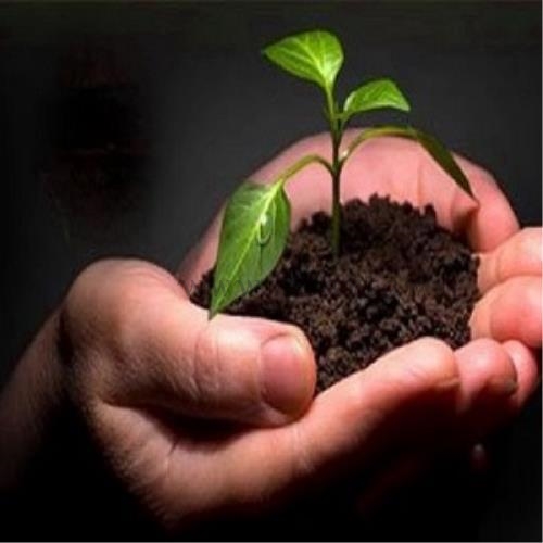 کمپ ترک اعتیاد (راهی به سوی نور)