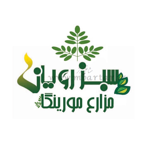 سبزرویان مزارع مورینگا