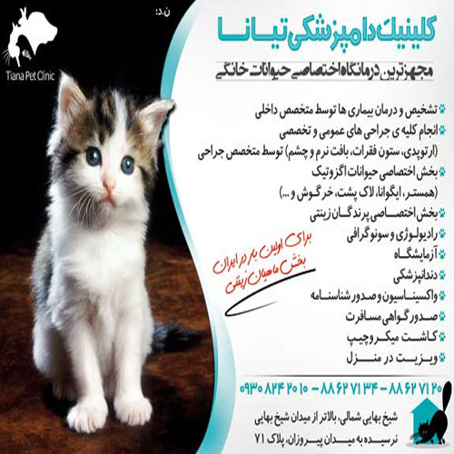 درمانگاه دامپزشکی تیانا