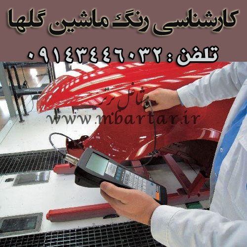کارشناسی رنگ ماشین گلها