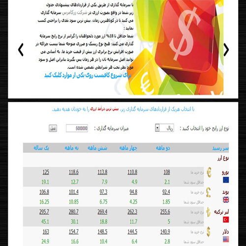 انواع سرمایه گذاری های ارزی پرسود با پرداخت ریالی